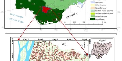 Kartta nigeria osoittaa kasvillisuus vyöt